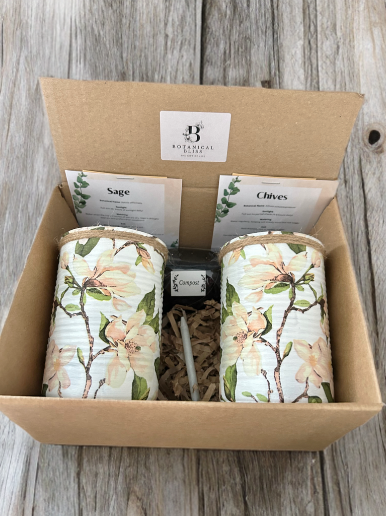 Cream Magnolia Floral Grow Your Own Herb Garden Gift Set