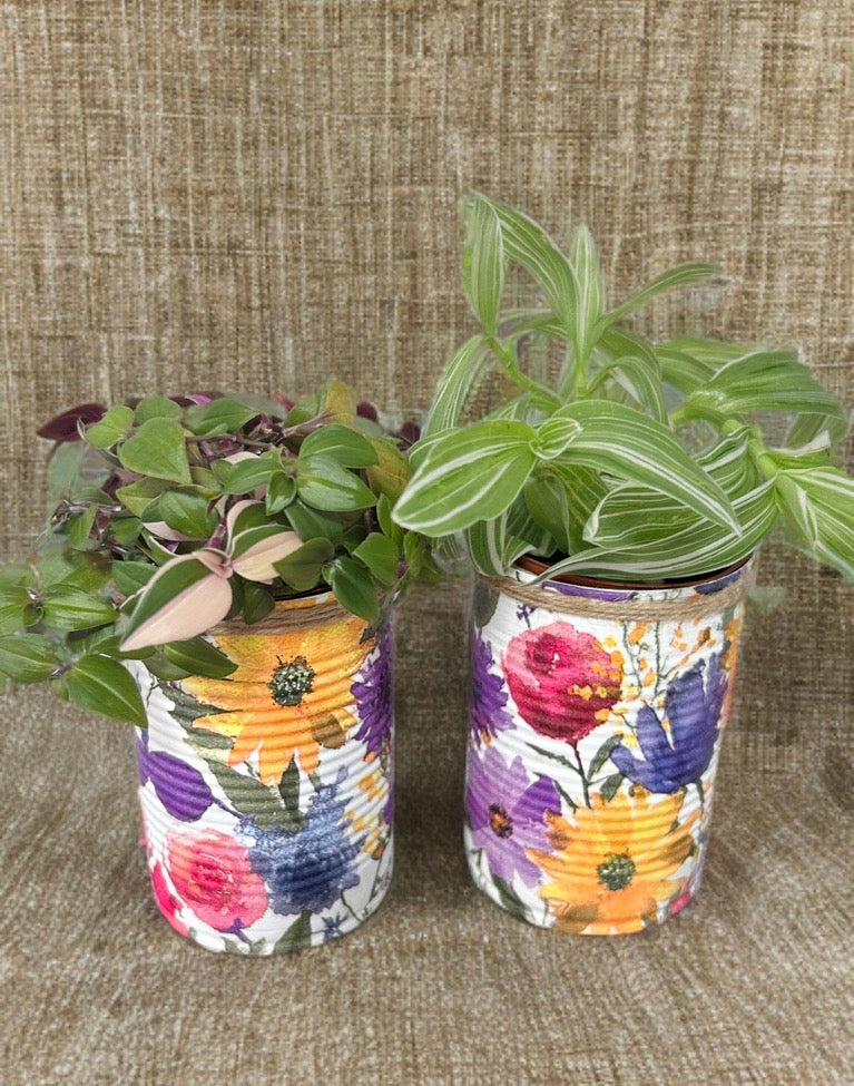 Midnight Summer Grow Your Own Herb Garden Gift Set