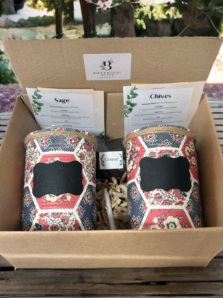Patchwork Grow Your Own Herb Garden Gift Set