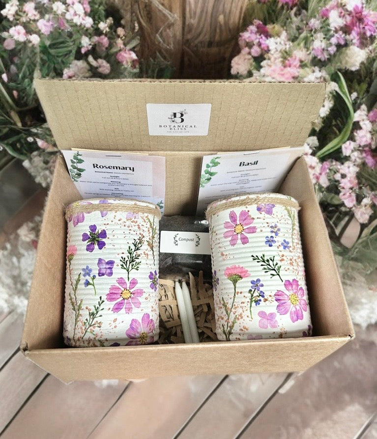 Lilac Fresh Meadow Grow Your Own Herbs Gift Set