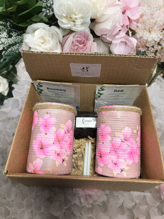 Cherry Blossom Grow Your Own Herbs Gift Set