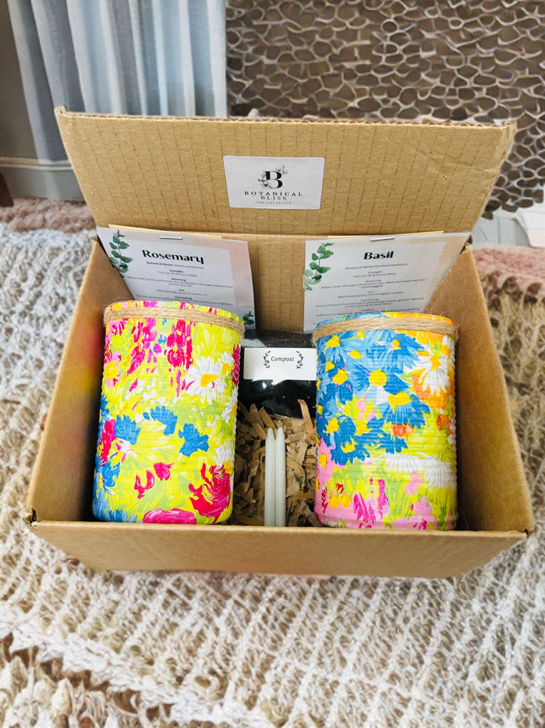 Neon Green Pink Blue Floral Grow Your Own Herbs Gift Set