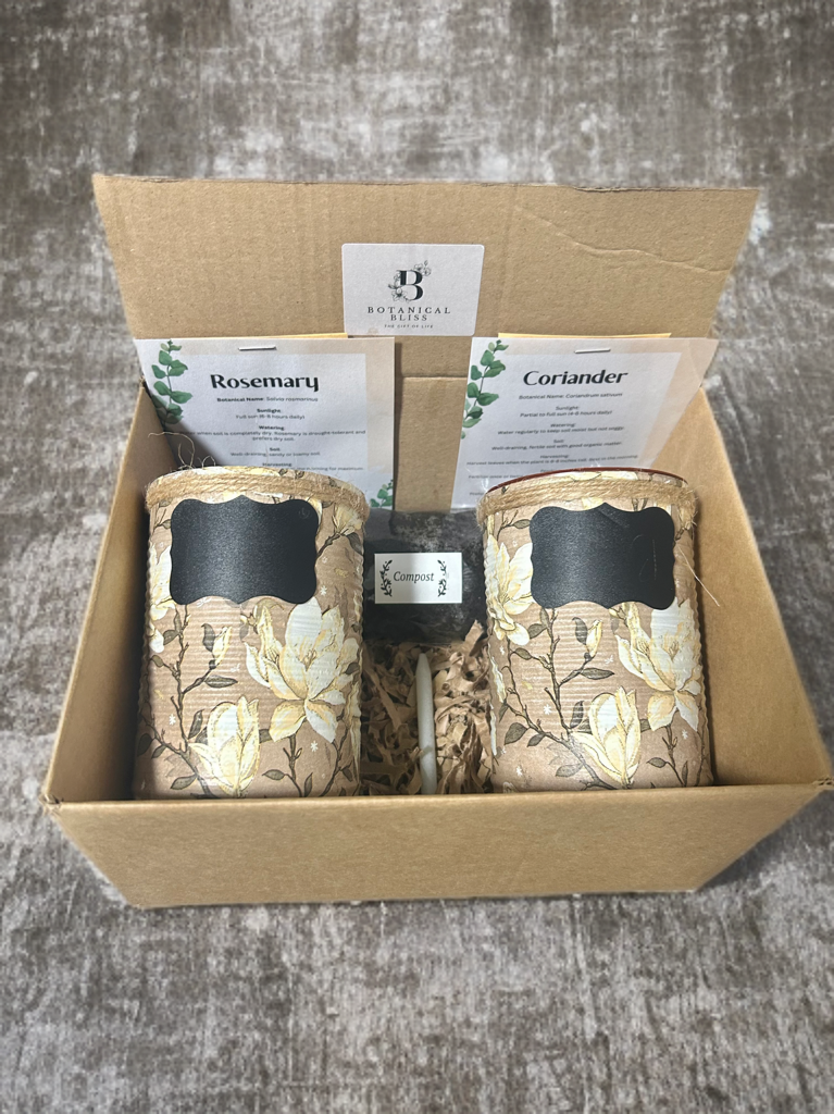 Cream & Mocha Grow Your Own Herb Garden Gift Set