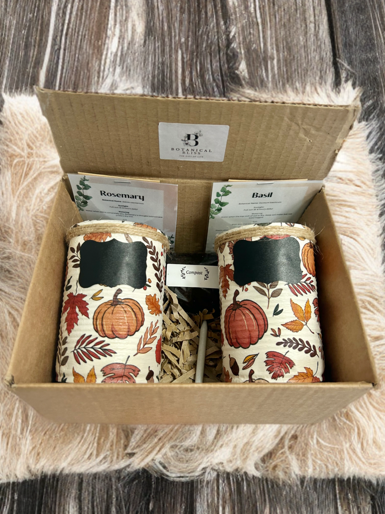 Autumn Pumpkin Grow Your Own Herb Garden Gift Set