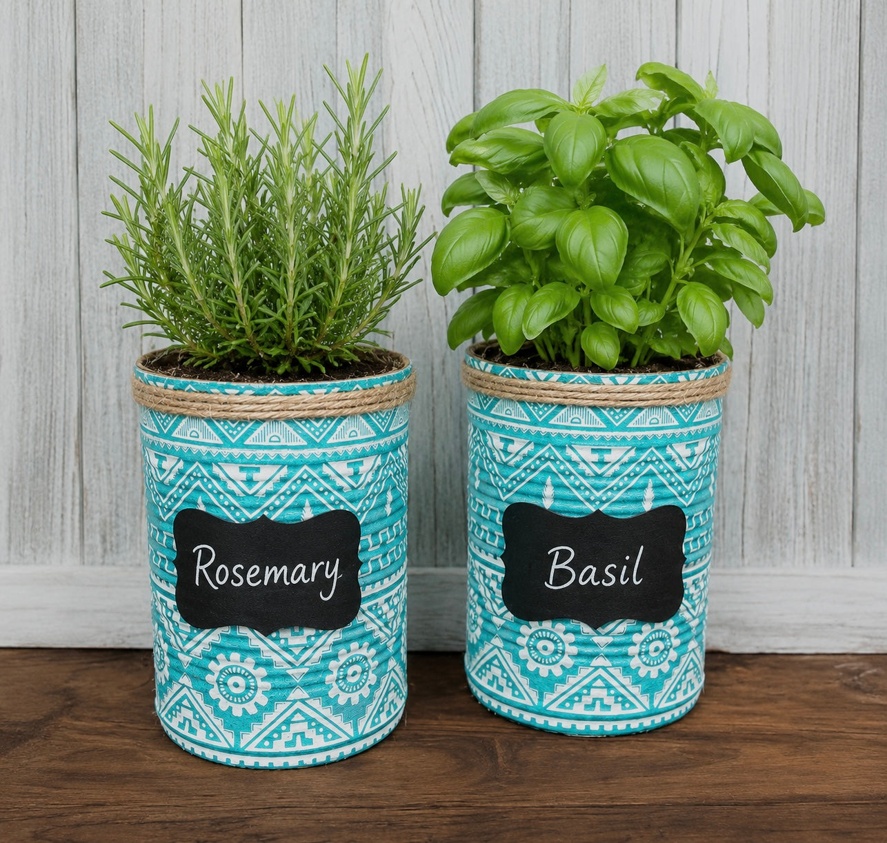 Teal Aztec Tribal Grow Your Own Herbs Garden Gift Set