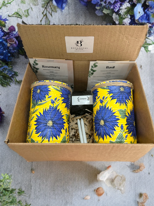 Blue Dahlia Grow Your Own Herbs Gift Set