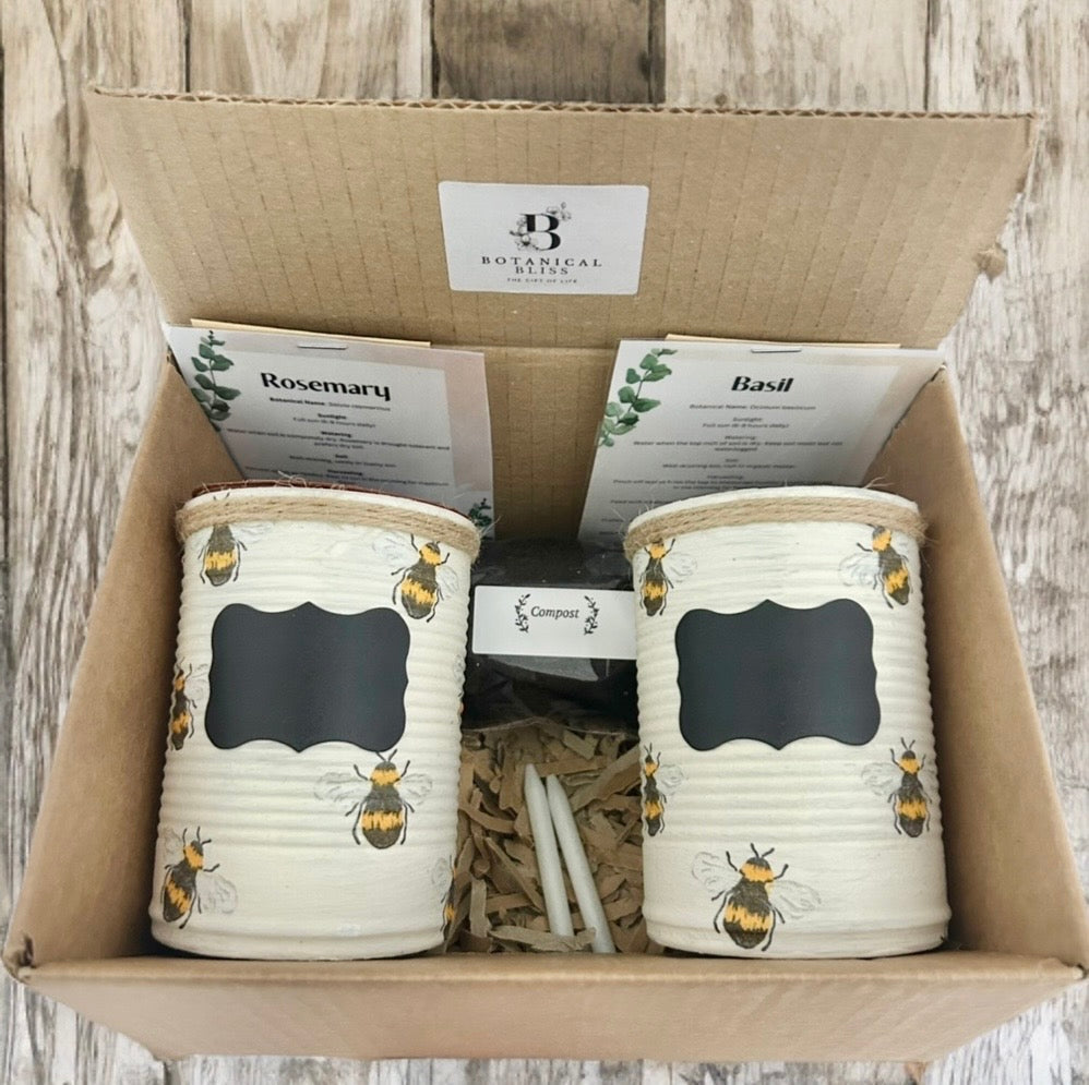 Honey Bee Rustic Grow Your Own Gift Set