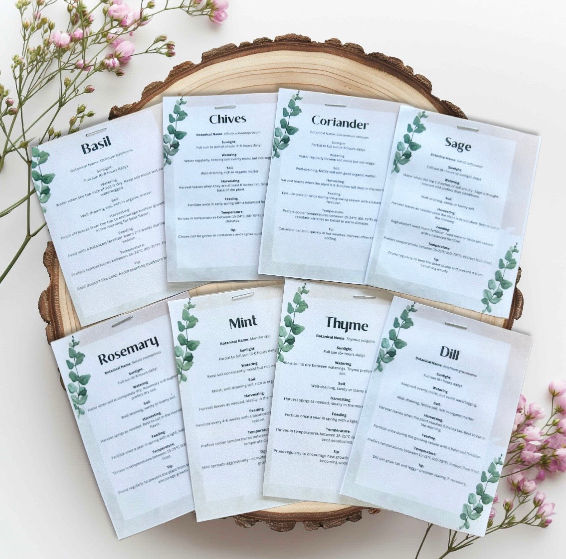 Blue Leopard Print Grow Your Own Herb Garden Gift Set