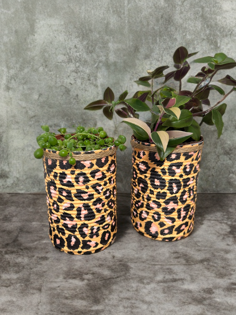Leopard Print Grow Your Own Herb Garden Gift Set