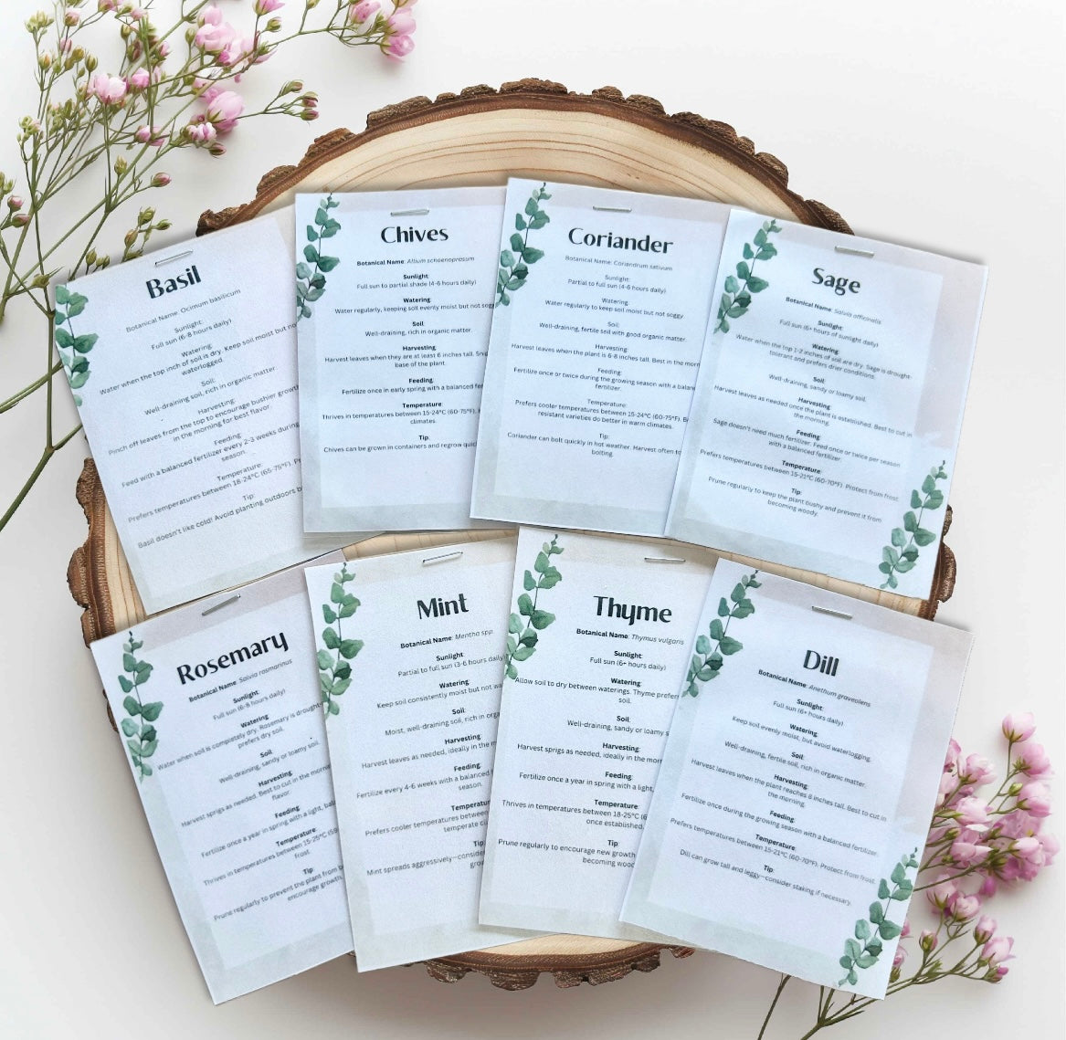 Apricot & Mint Floral Grow Your Own Herbs Garden Gift Set