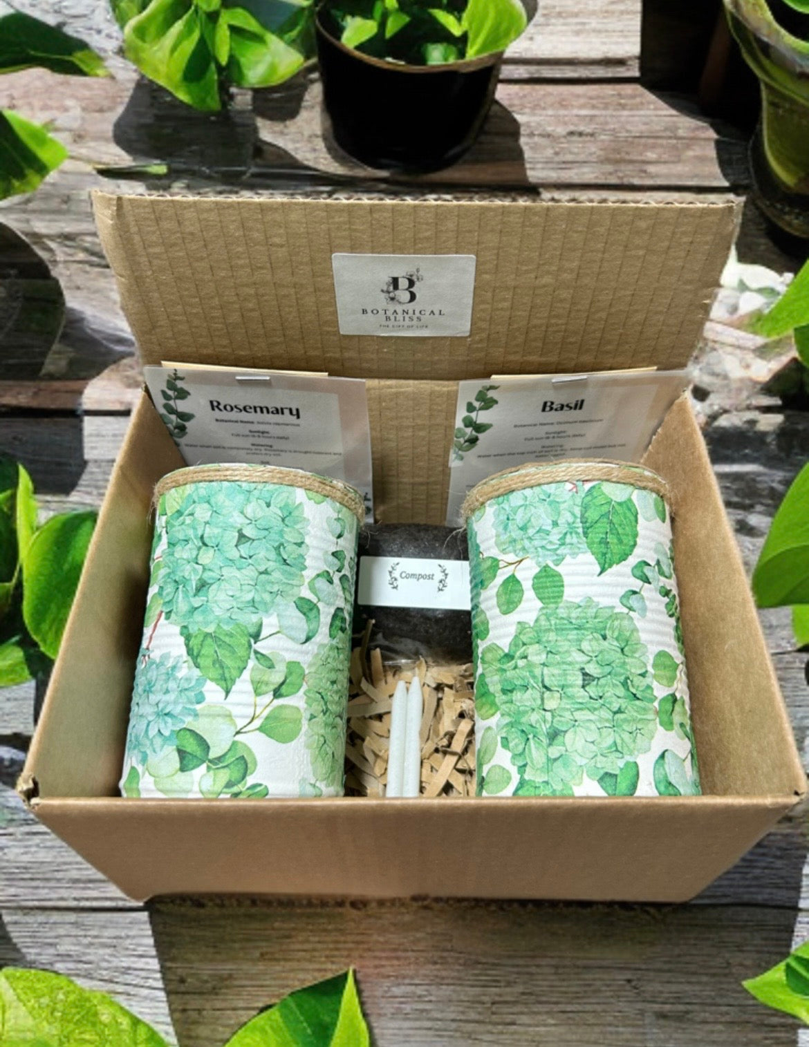 Green Hydrangea Floral Grow Your Own Herb Garden Gift Set