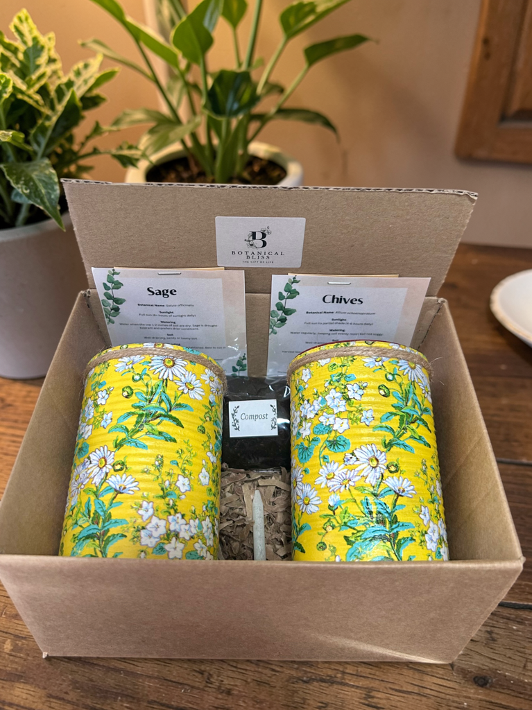 Gelbes Gänseblümchen Ditsy Kräuter selbst anbauen Geschenkset