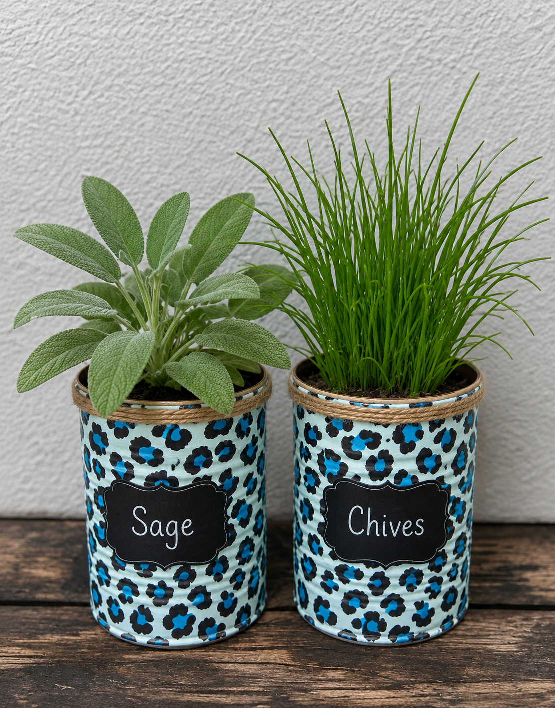 Geschenkset "Kräutergarten zum Selberziehen" mit blauem Leopardenmuster