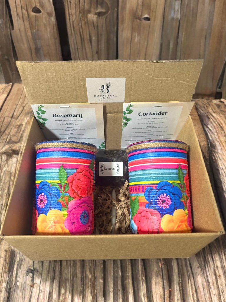 Fiesta Bloom Grow Your Own Herb Garden Gift Set