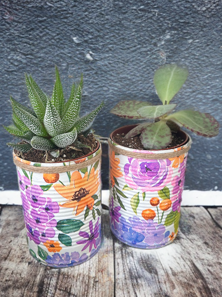 Lilac & Orange Cottage Bloom Grow Your Own Herb Garden Gift Set