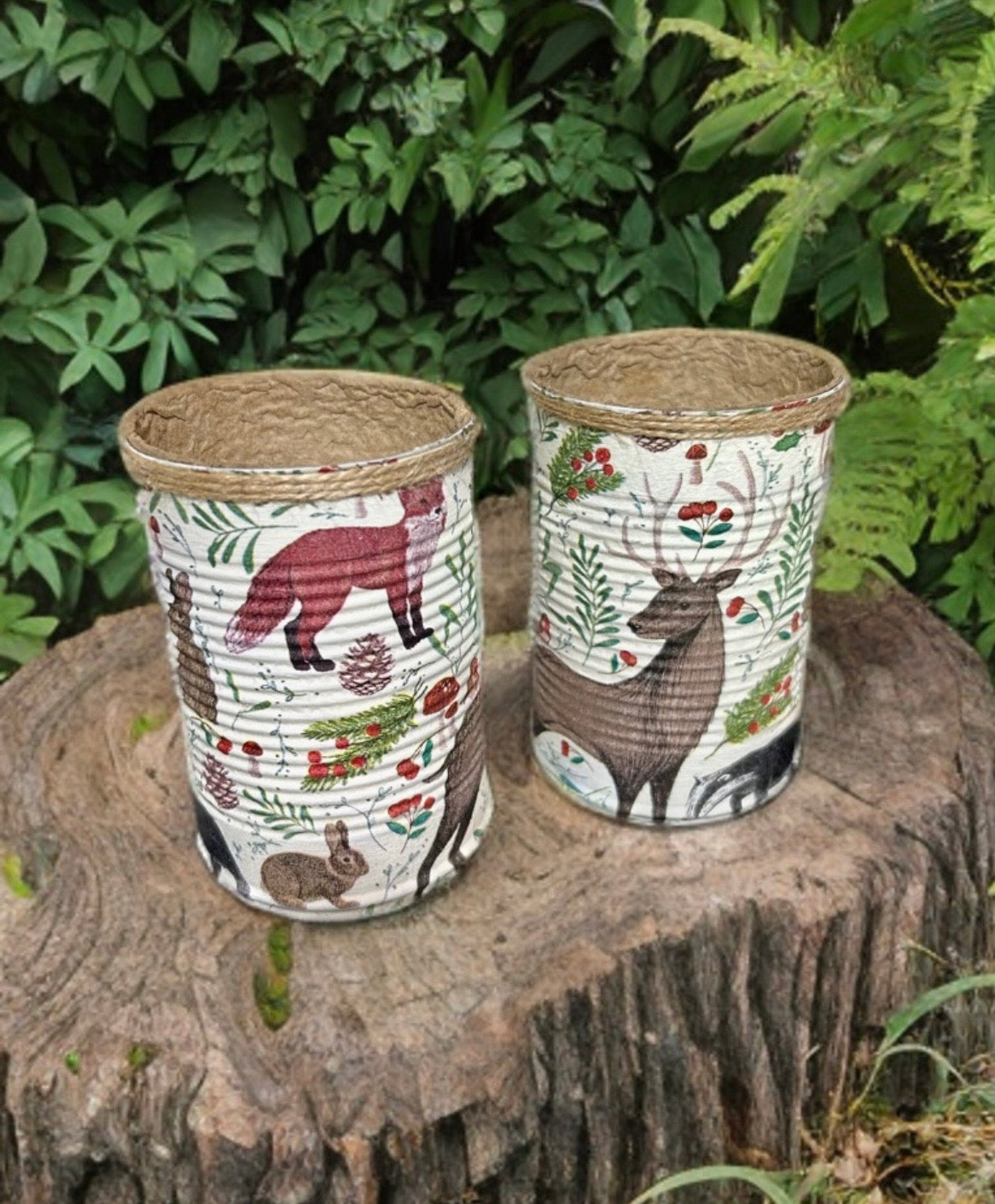 Woodland Animal Grow Your Own Herb Garden Gift Set