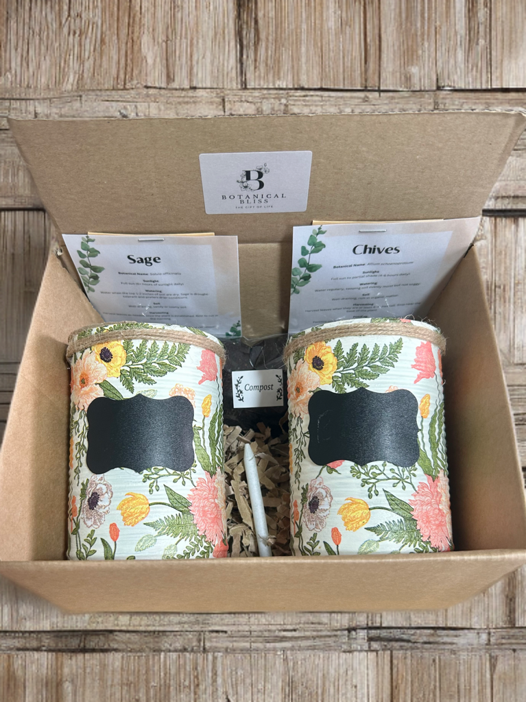 Enchanted Garden Grow Your Own Herb Garden Gift Set