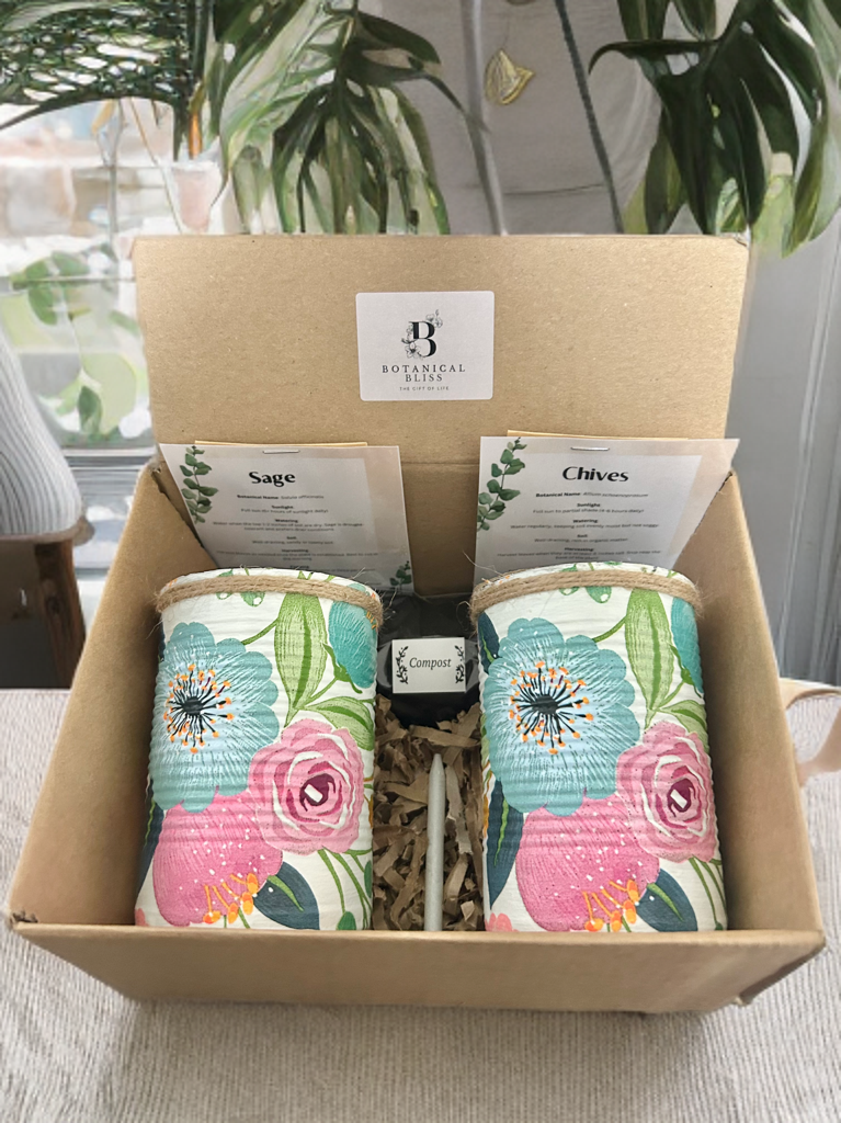 Anemone Blush Garden Grow Your Own Herb Garden Gift Set