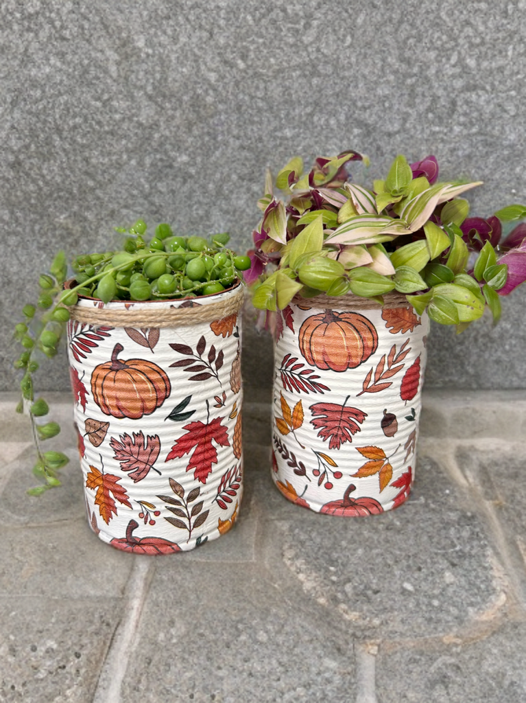 Autumn Pumpkin Grow Your Own Herb Garden Gift Set