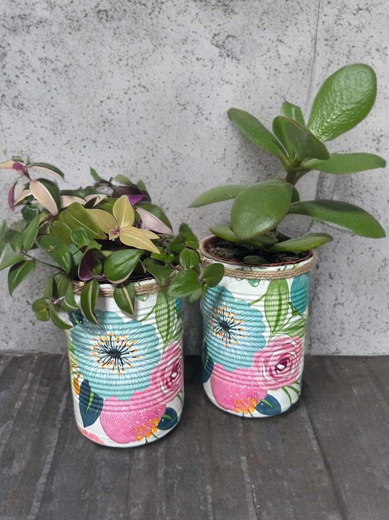 Anemone Blush Garden Grow Your Own Herb Garden Gift Set