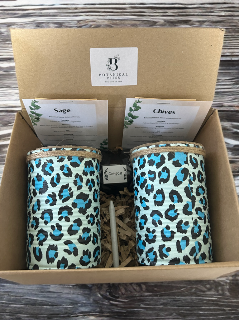 Blue Leopard Print Grow Your Own Herb Garden Gift Set