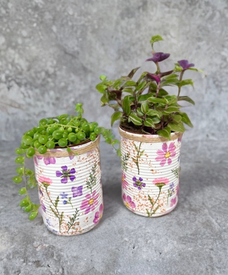 Lilac Fresh Meadow Grow Your Own Herbs Gift Set