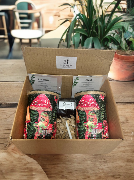 Whimsical Toadstool & Toad Grow Your Own Herb Garden Gift Set