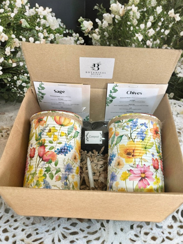 Summer Meadow Grow Your Own Herb Garden Gift Set