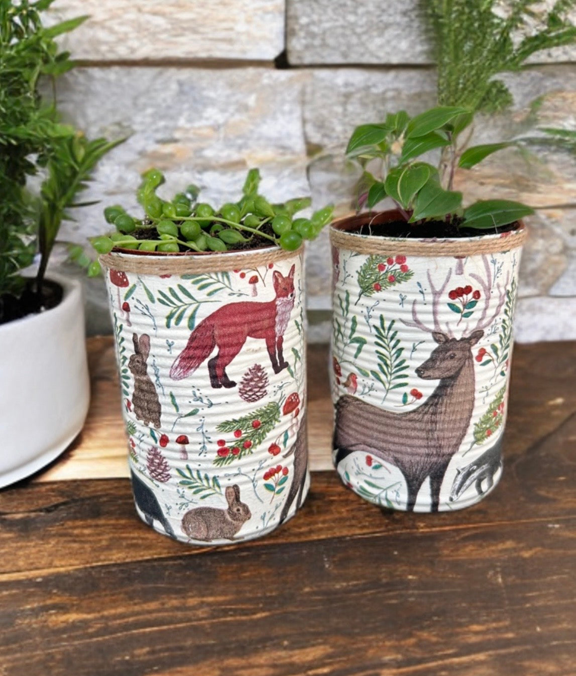 Woodland Animal Grow Your Own Herb Garden Gift Set