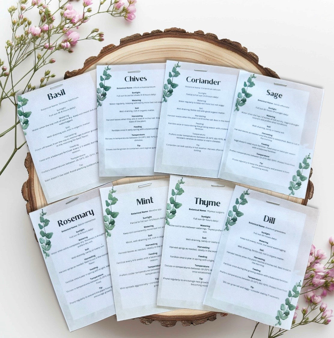 Navy & Cream Floral Grow Your Own Herb Garden Gift Set