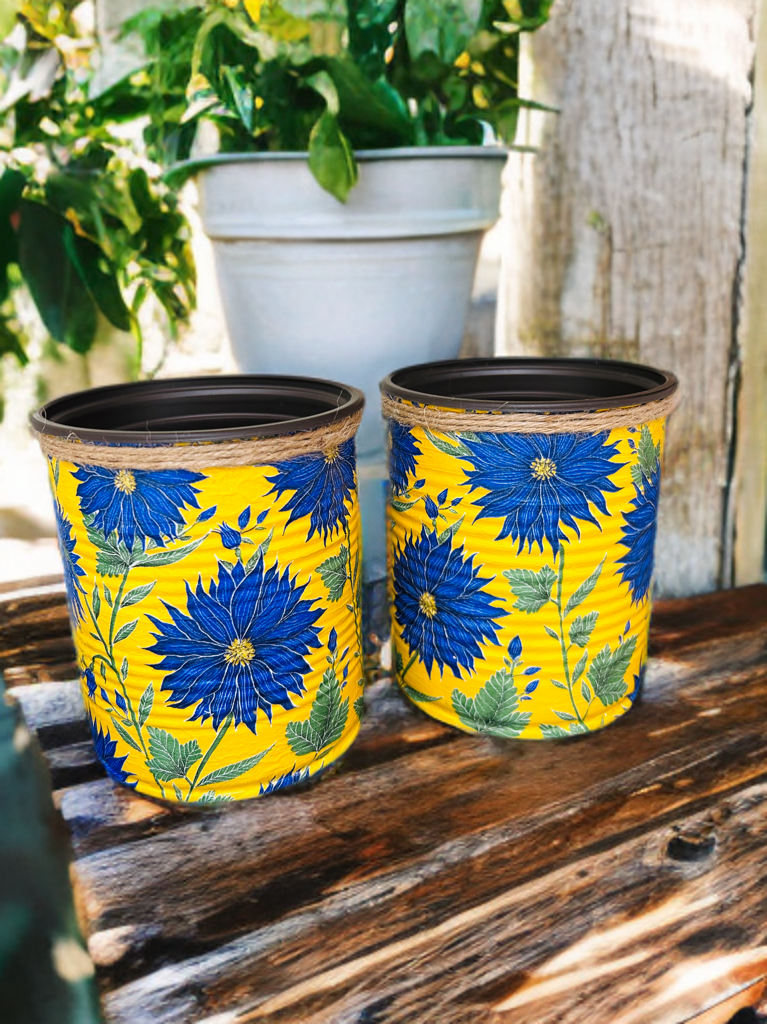 Yellow & Blue Dahlia Indoor House Plant Pot - 10cm
