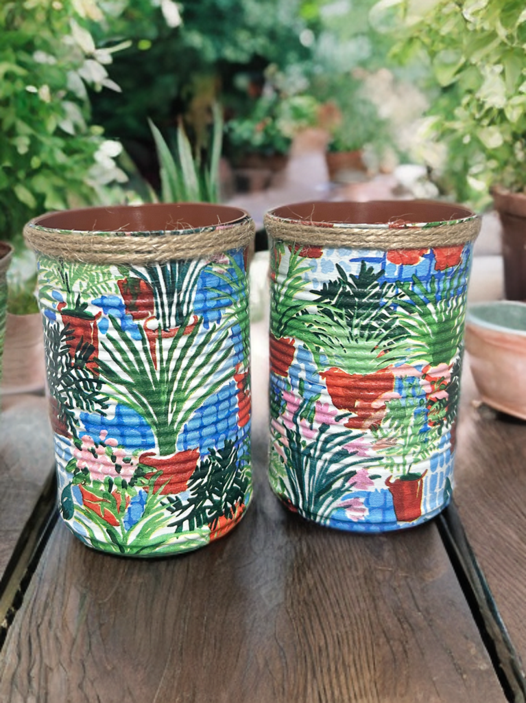 Greenhouse Plant Grow Your Own Herb Garden Gift Set