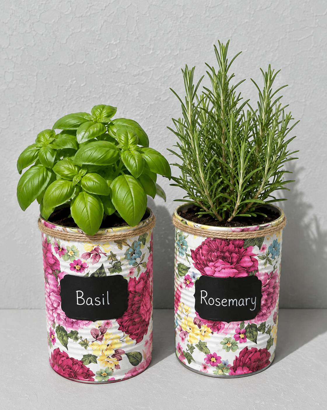 Pfingstrosenrot & Lila Blumen-Kräuter-Geschenkset zum Selbstanbauen