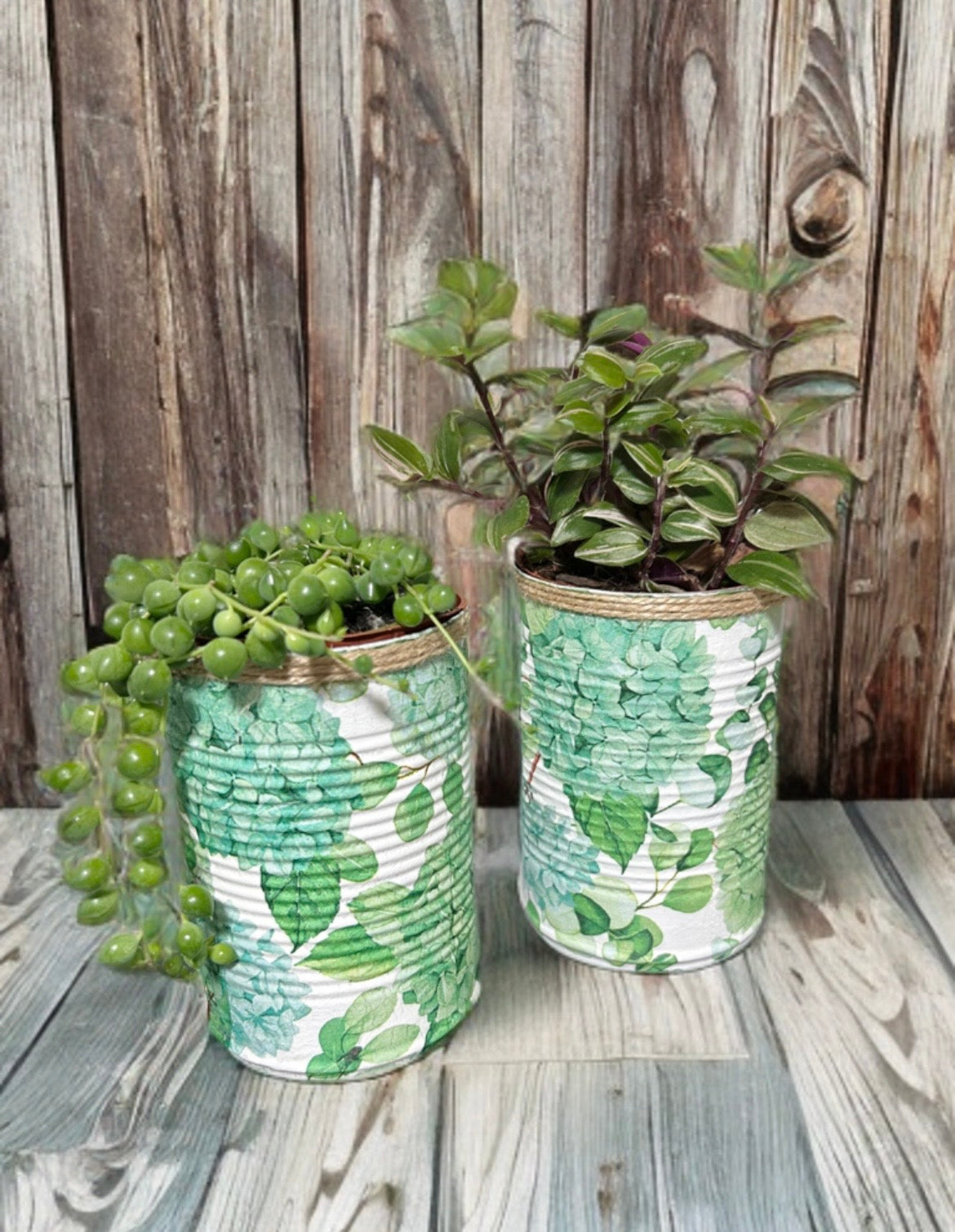 Green Hydrangea Floral Grow Your Own Herb Garden Gift Set