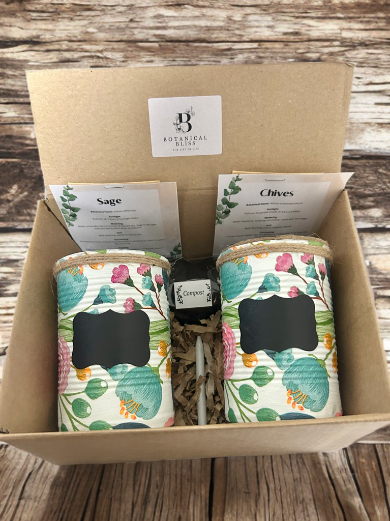 Anemone Blush Garden Grow Your Own Herb Garden Gift Set