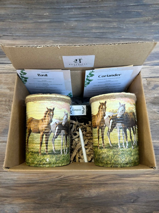 Horse Meadow Grow Your Own Herb Garden Gift Set