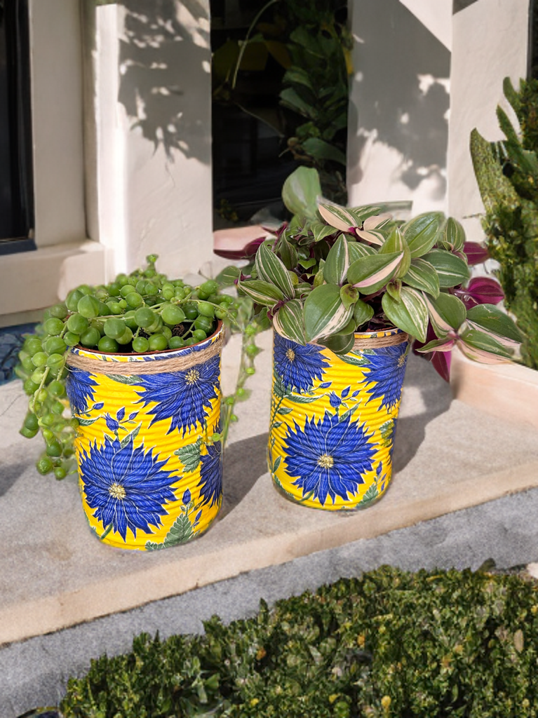 Blue Dahlia Grow Your Own Herbs Gift Set