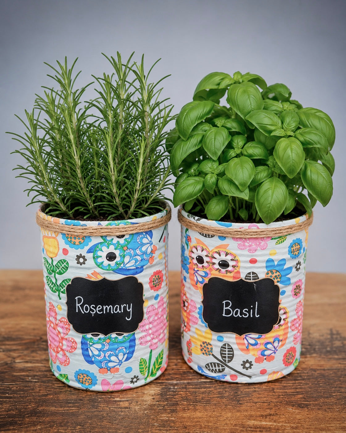 Retro-Eule Kräuter-Anzuchtset Garten-Geschenkset