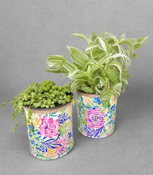 Pastel Bloom Indoor House Plant Pot - 10cm