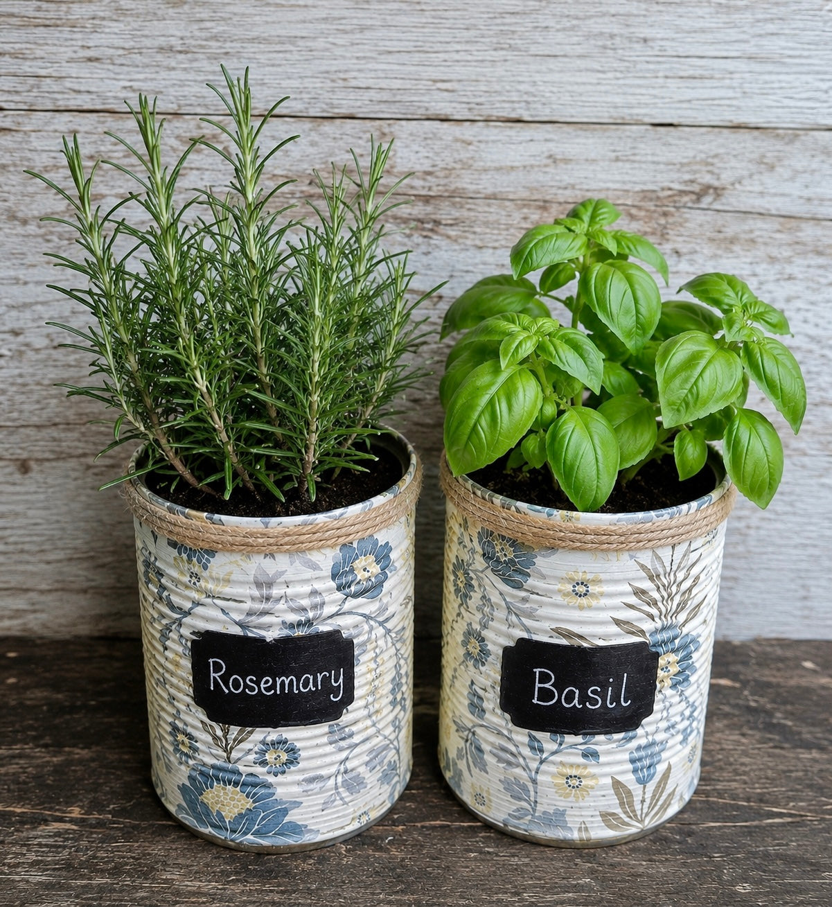 Cream & Duck Egg Blue Floral Grow Your Own Herb Garden Gift Set