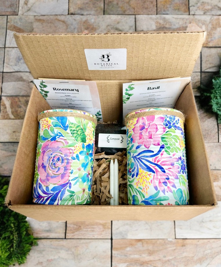 Pastel Bloom Grow Your Own Herbs Gift Set