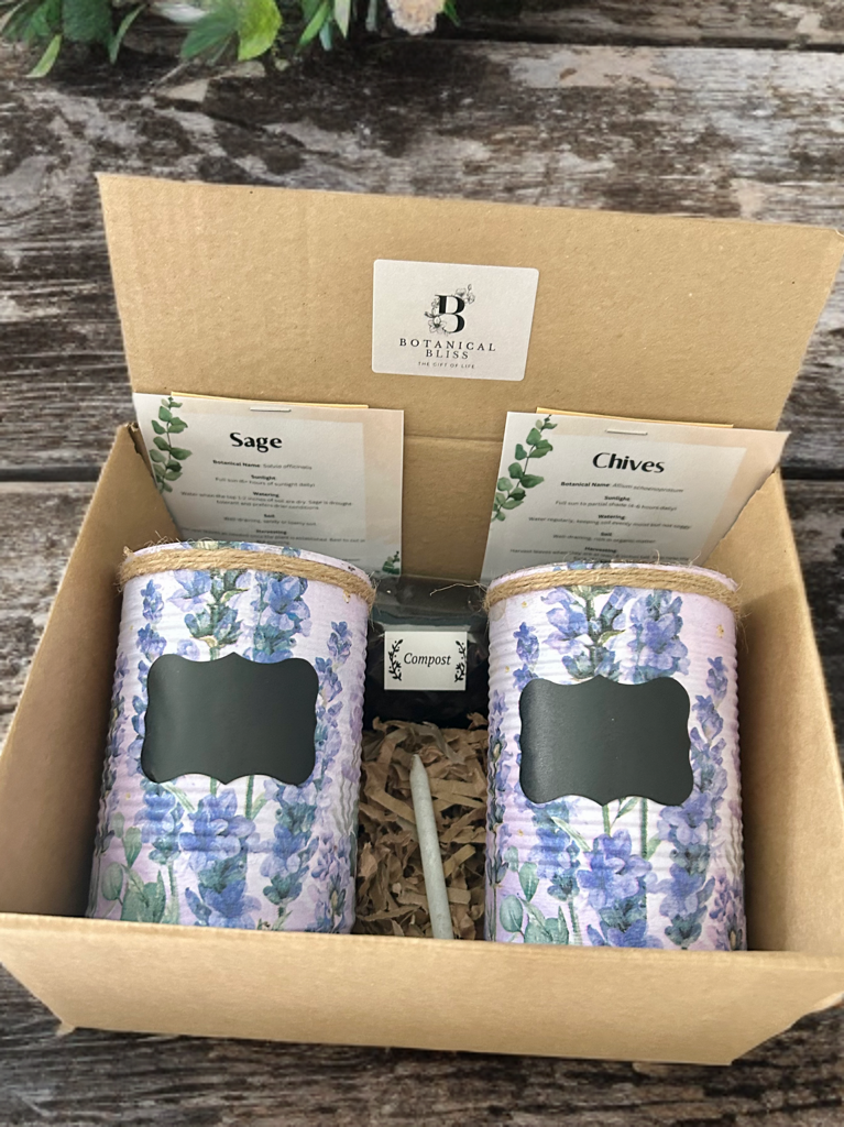 Lavendel Blumen Kräutergarten Anzucht-Geschenkset