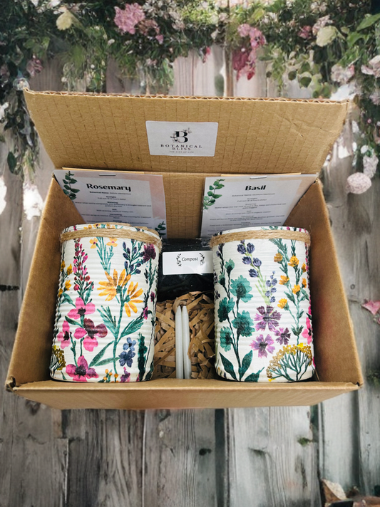 Wild Meadow Grow Your Own Herb Garden Gift Set