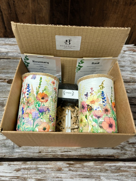 Fresh Wild Meadow Grow Your Own Herbs Gift Set