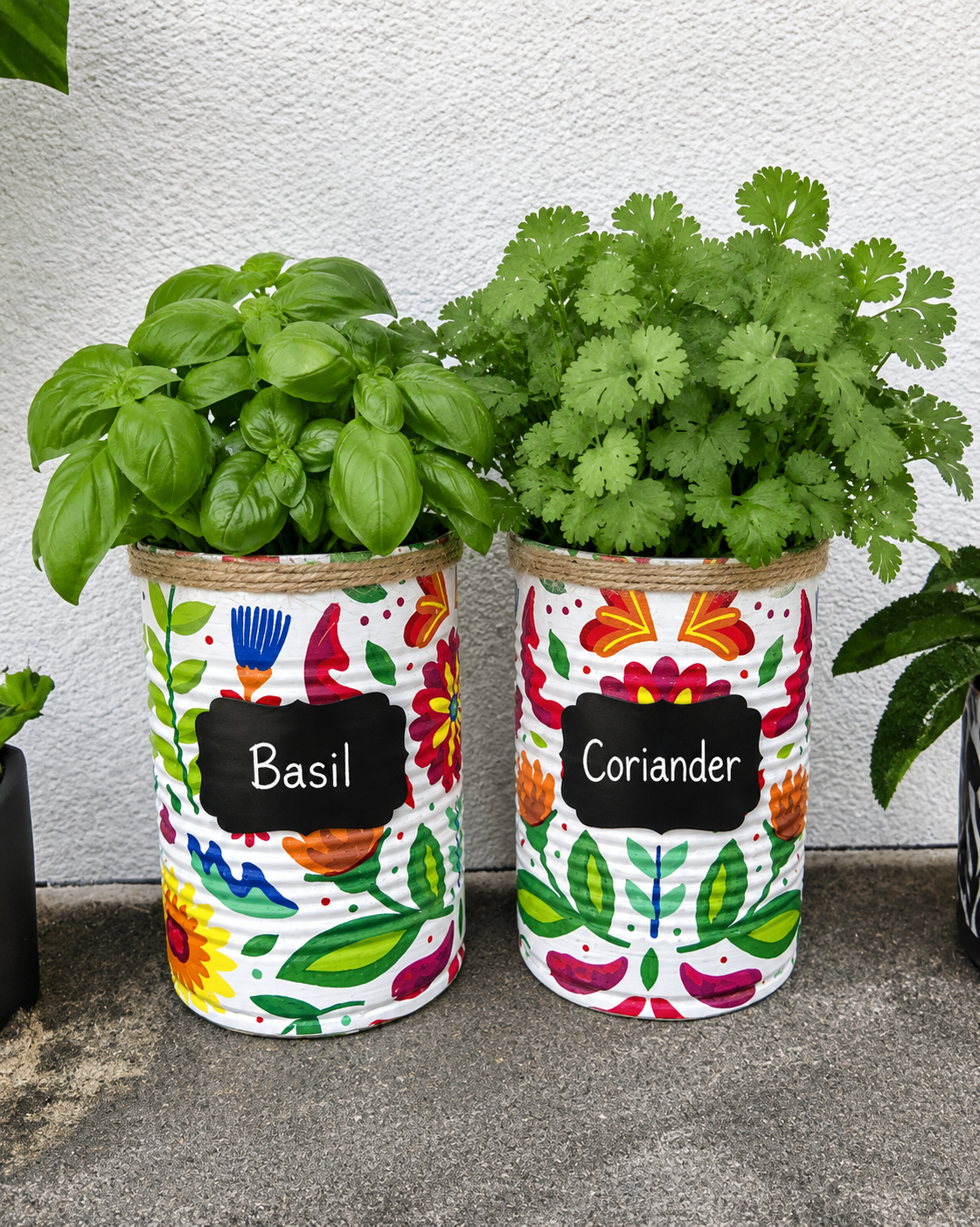 Folk Floral Grow Your Own Herb Garden Gift Set