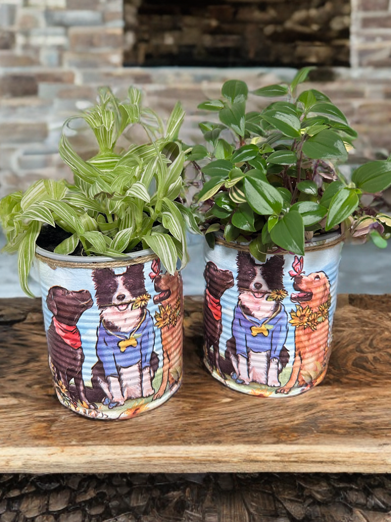 Border Collie & Labrador Indoor Plant Pot - 10cm