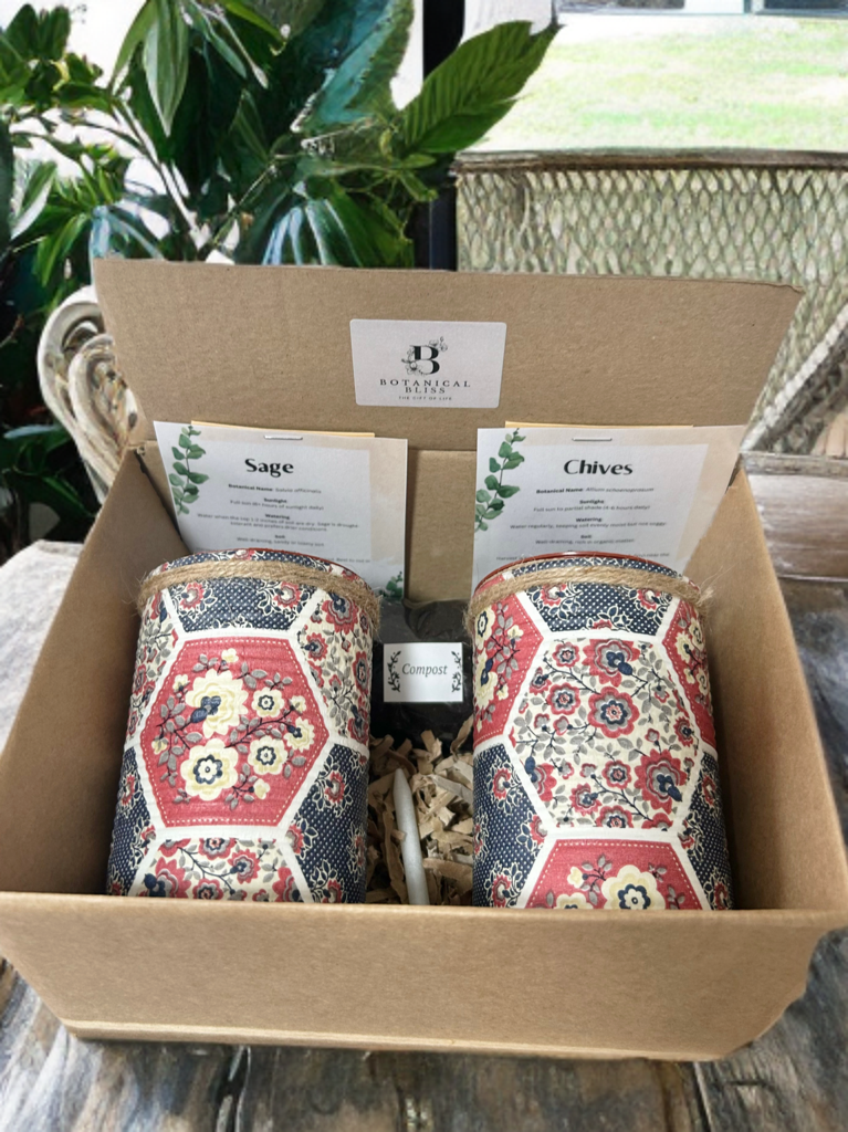 Patchwork Grow Your Own Herb Garden Gift Set
