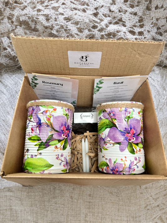 Lilac Watercolour Orchid Grow Your Own Gift Set