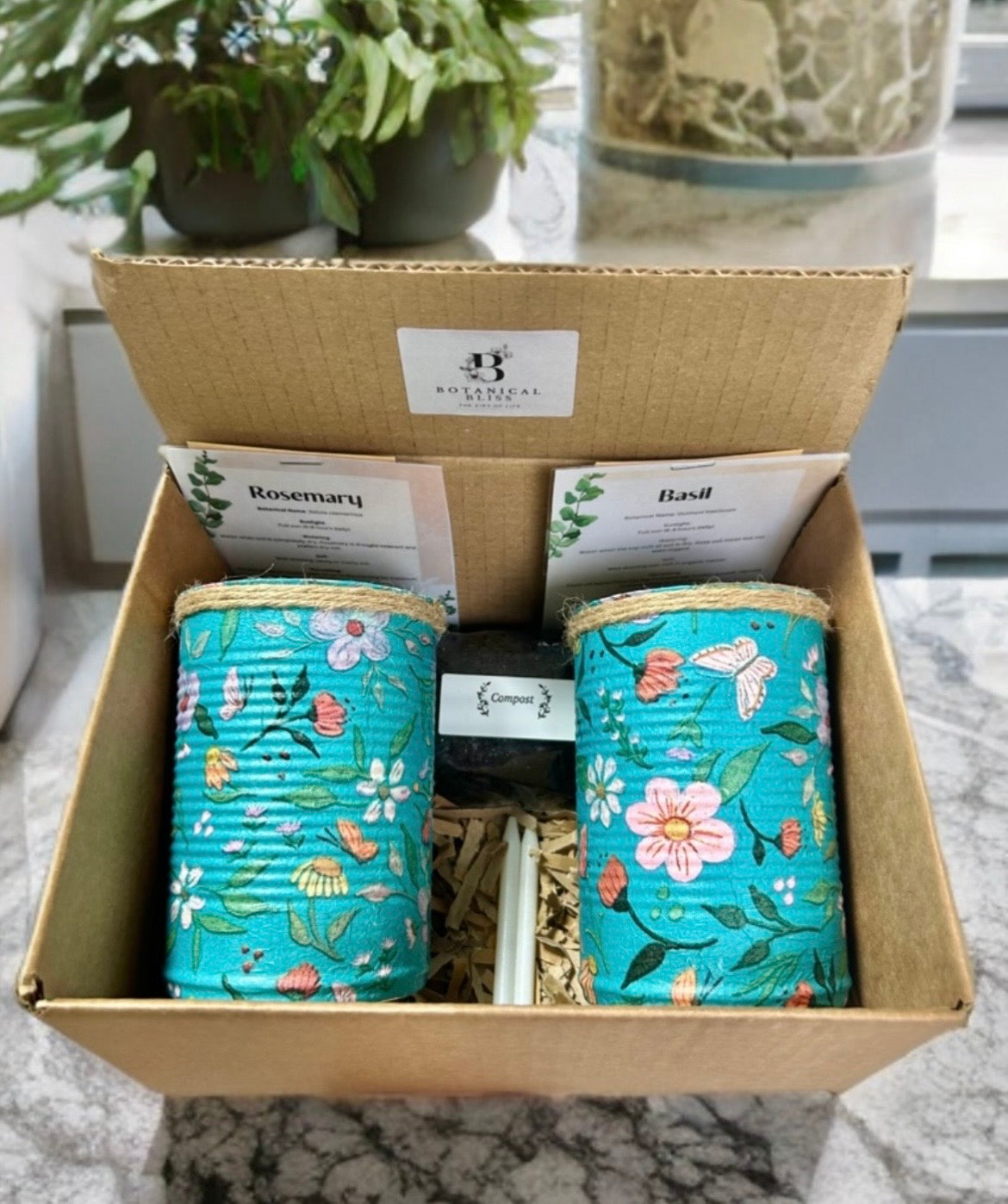Teal Floral Japanese Garden Grow Your Own Gift Set
