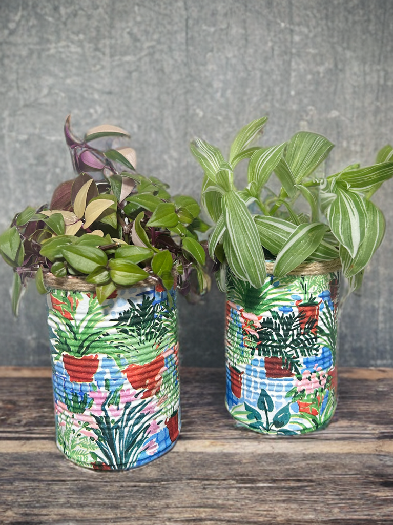 Greenhouse Plant Grow Your Own Herb Garden Gift Set